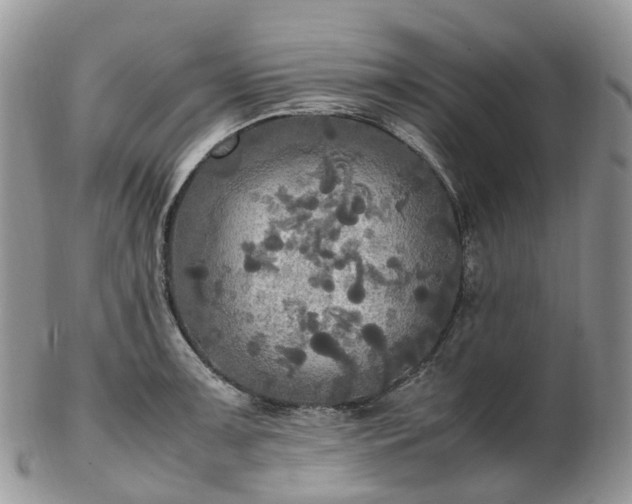 X0000102841091200808251150