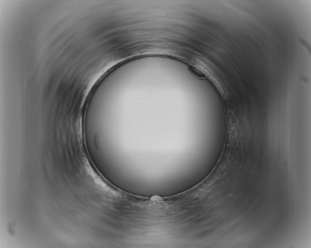 X0000102841092200808251150