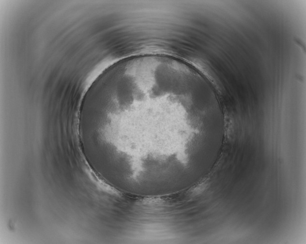 X0000102841094200808251150