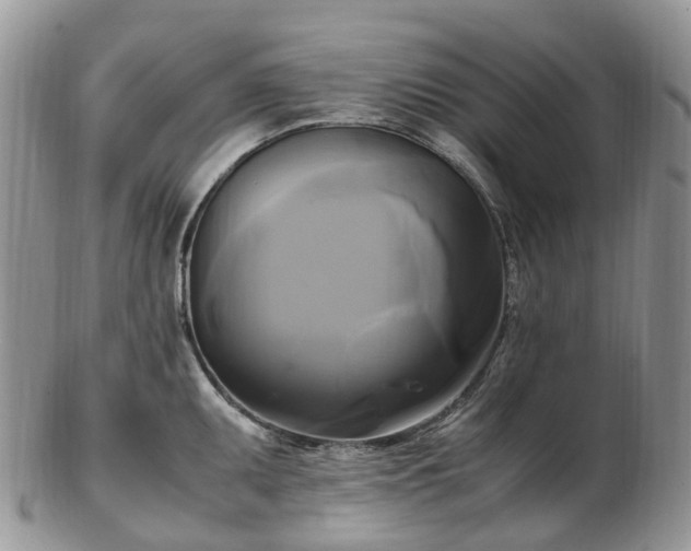 X0000102841095200808251150