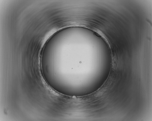 X0000102841096200808251150