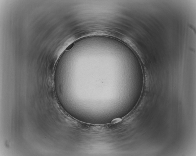 X0000102841097200808251150