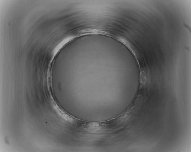 X0000102841098200808251150