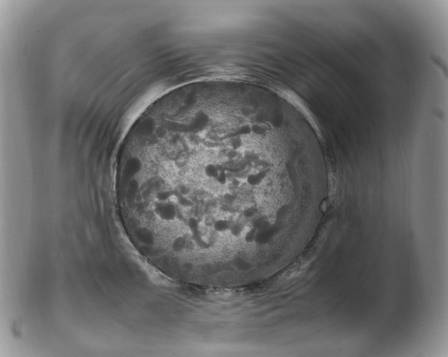 X0000102841099200808251150