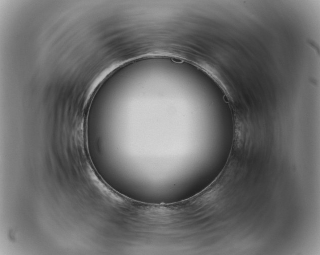 X0000102841100200808251150