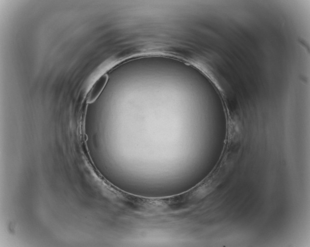 X0000102841101200808251150