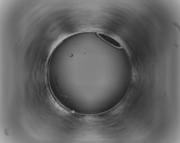 X0000102841102200808251150