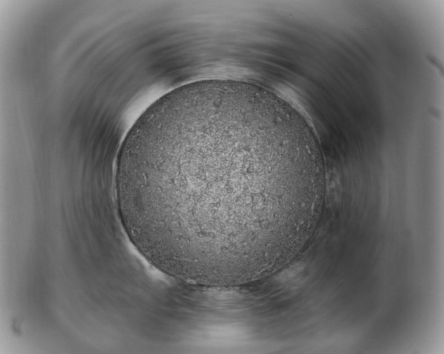 X0000102841103200808251150