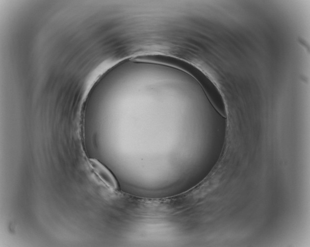 X0000102841104200808251150