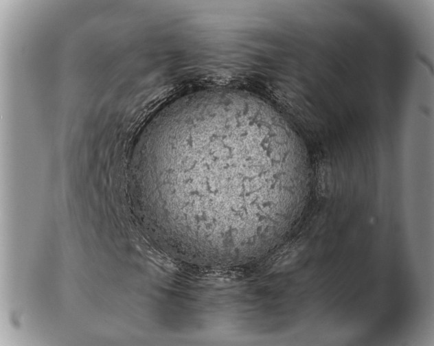 X0000102841105200808251149