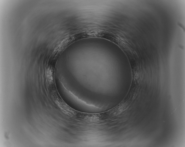 X0000102841106200808251149