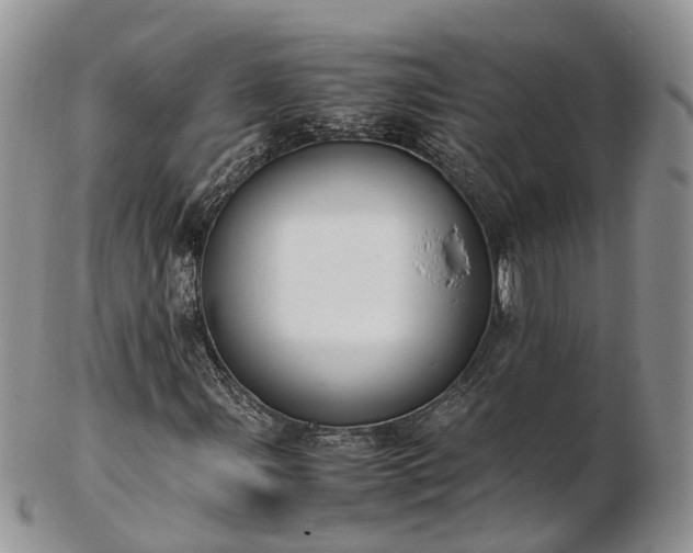 X0000102841107200808251149