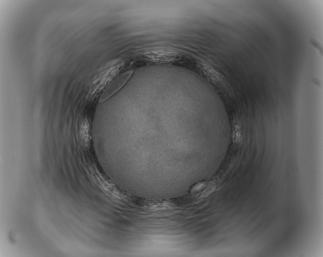 X0000102841108200808251149