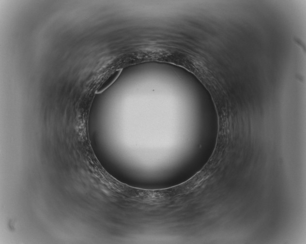 X0000102841109200808251149