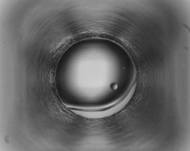 X0000102841110200808251149