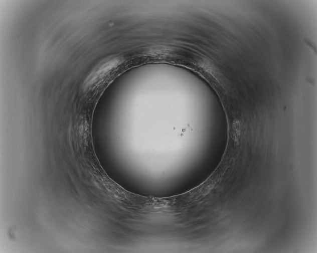 X0000102841111200808251149