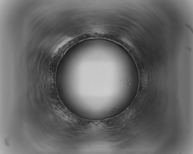 X0000102841112200808251149