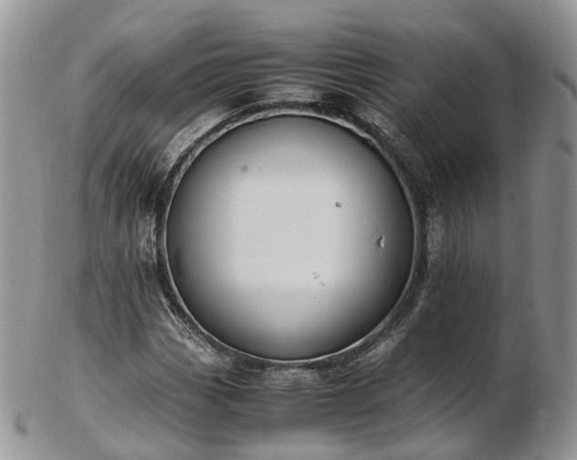 X0000102841113200808251149