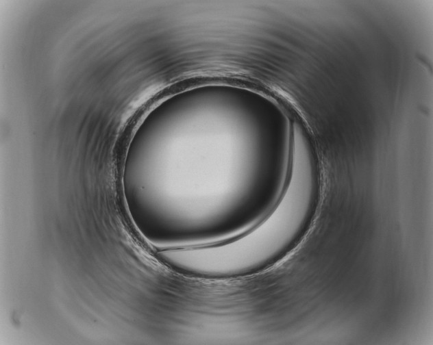 X0000102841114200808251149