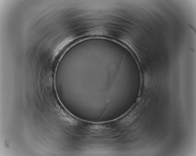 X0000102841115200808251150