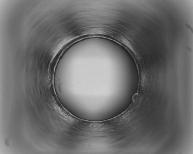 X0000102841116200808251150