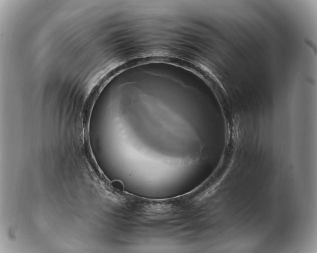 X0000102841117200808251150