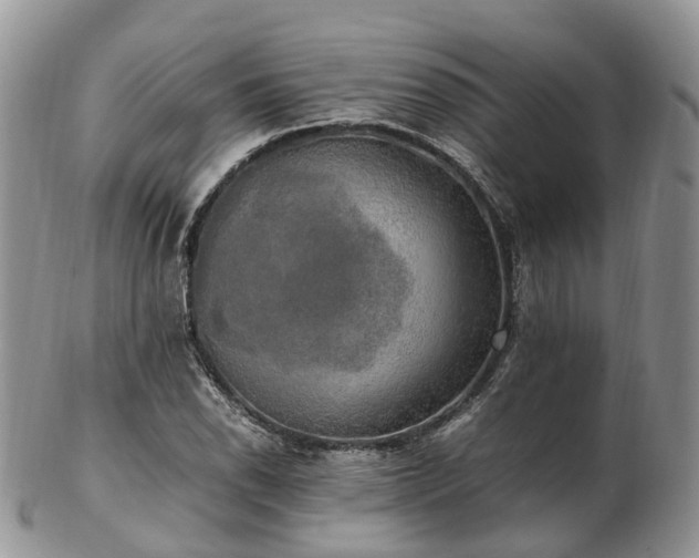 X0000102841118200808251150