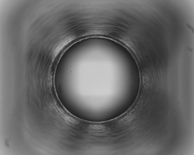 X0000102841119200808251150