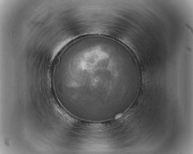 X0000102841120200808251150