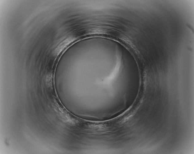 X0000102841121200808251150