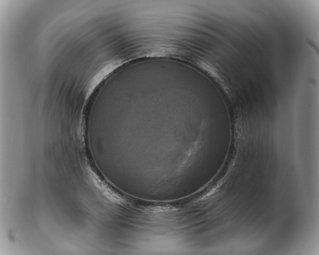 X0000102841122200808251150