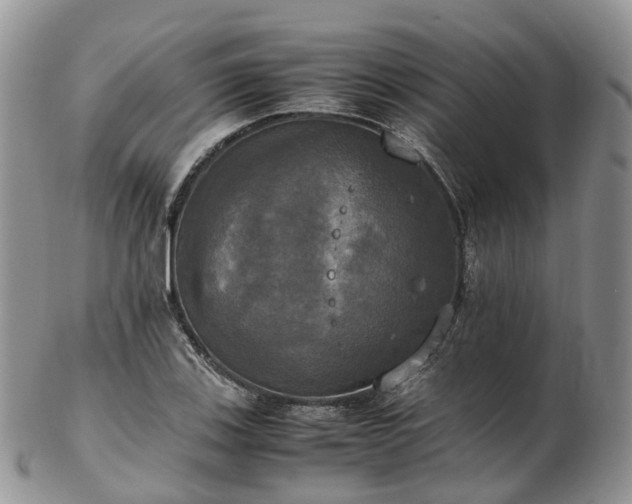 X0000102841123200808251150