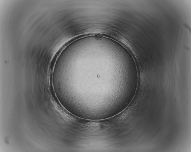 X0000102841124200808251150