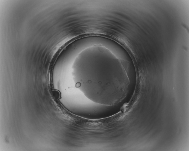 X0000102841125200808251150