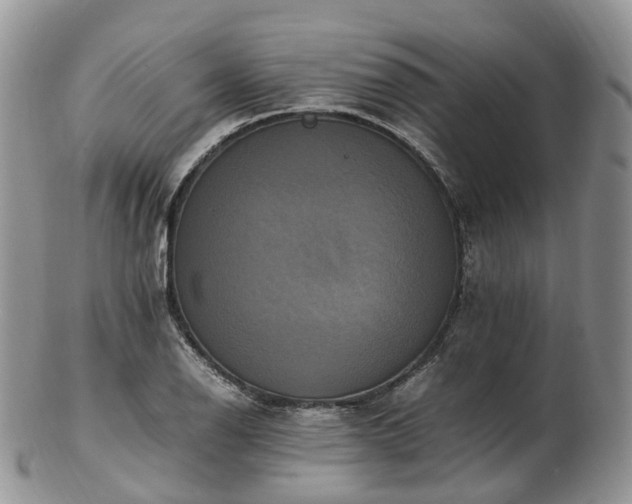 X0000102841126200808251150