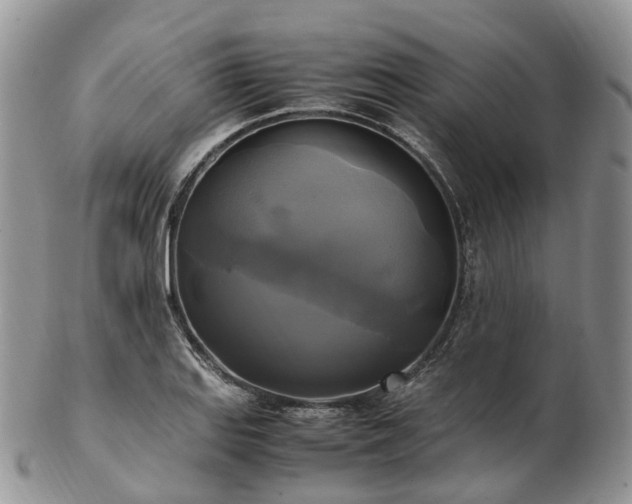 X0000102841127200808251150