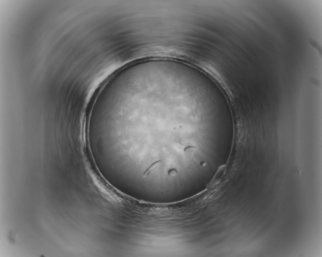 X0000102841128200808251150