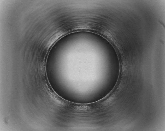 X0000102841129200808251150