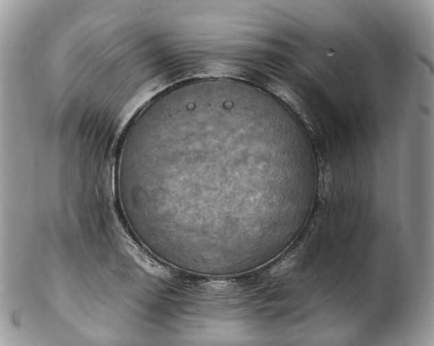 X0000102841130200808251150