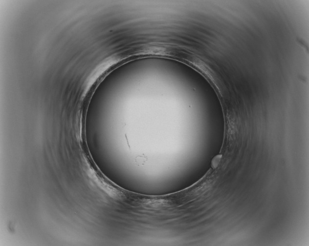 X0000102841131200808251150