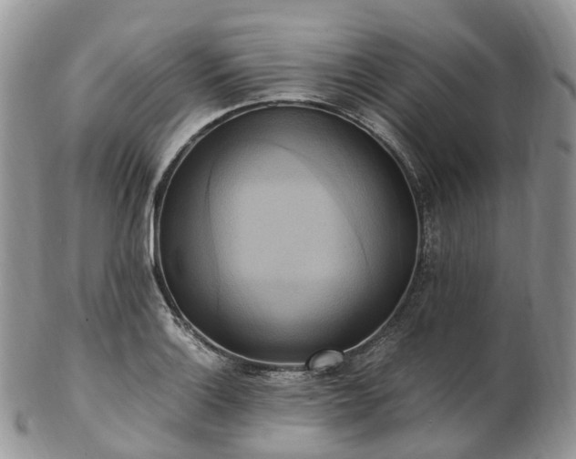 X0000102841132200808251150