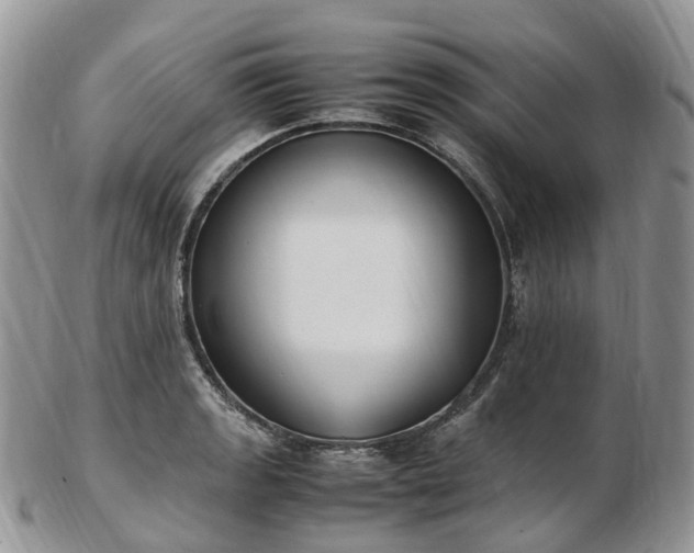 X0000102841133200808251150