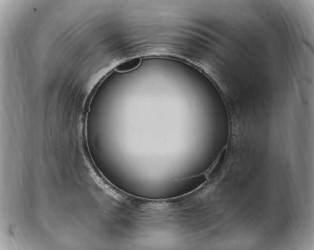 X0000102841134200808251150