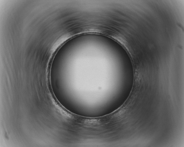 X0000102841135200808251150