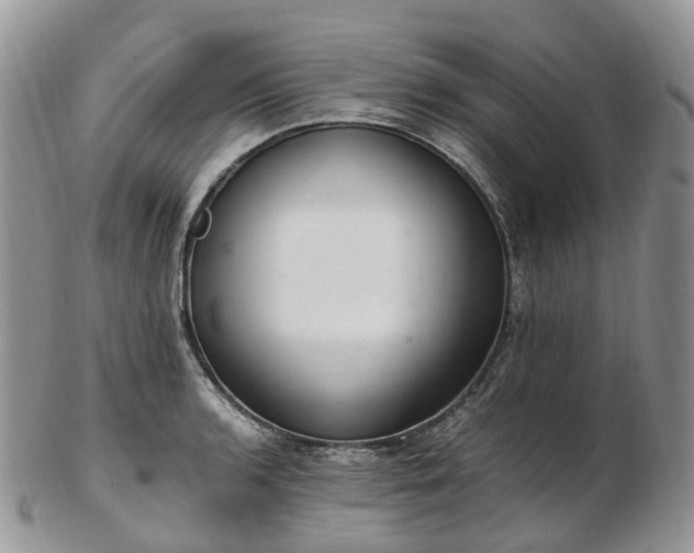 X0000102841136200808251150