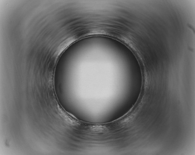 X0000102841137200808251150