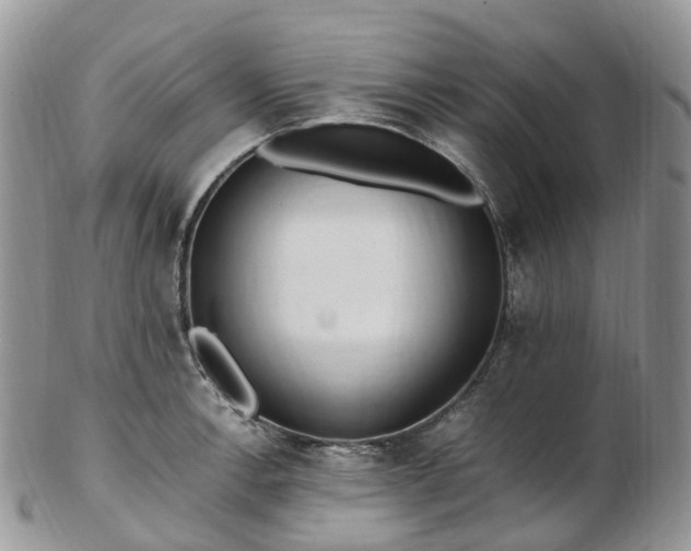 X0000102841138200808251150