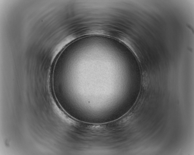 X0000102841139200808251150