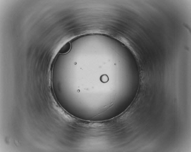 X0000102841140200808251150