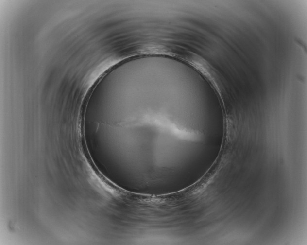 X0000102841141200808251150